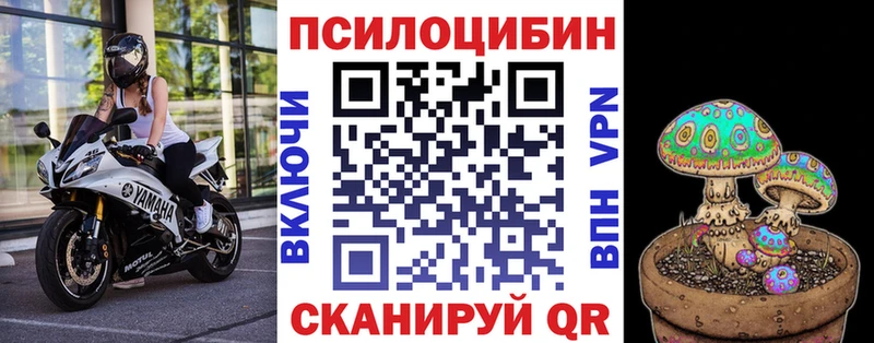 Купить где  Нефтеюганск  Галлюциногенные грибы MAGIC MUSHROOMS 